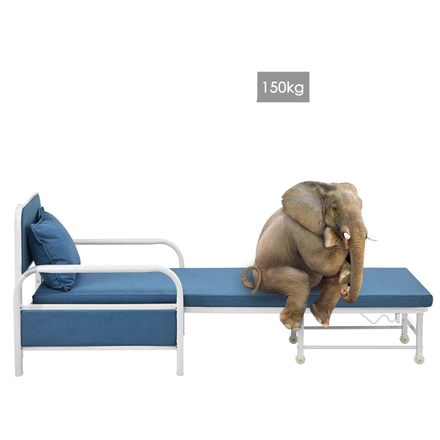 Stylish and functional 2-in-1 sofa bed